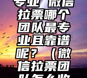 简单的来说下微信投票人工怎么刷票（微信纯人工投票）