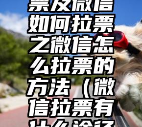 简单的来说下微信投票人工怎么刷票（微信纯人工投票）
