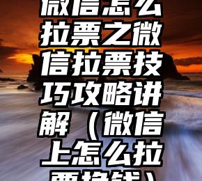 简单的来说下微信投票人工怎么刷票（微信纯人工投票）