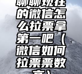 简单的来说下微信投票人工怎么刷票（微信纯人工投票）