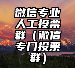 简单的来说下微信投票人工怎么刷票（微信纯人工投票）