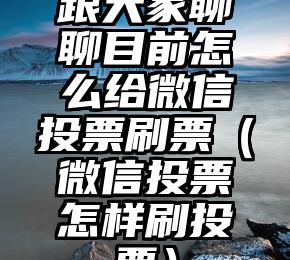 简单的来说下微信投票人工怎么刷票（微信纯人工投票）