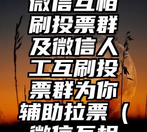 简单的来说下微信投票人工怎么刷票（微信纯人工投票）