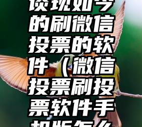 简单的来说下微信投票人工怎么刷票（微信纯人工投票）