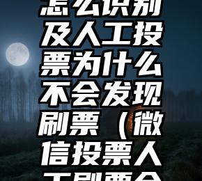 简单的来说下微信投票人工怎么刷票（微信纯人工投票）