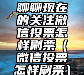 简单的来说下微信投票人工怎么刷票（微信纯人工投票）