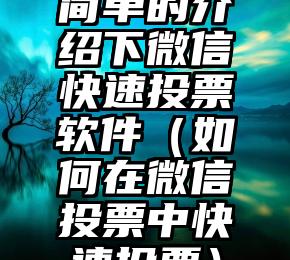 简单的来说下微信投票人工怎么刷票（微信纯人工投票）