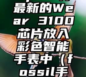 简单的来说下微信投票人工怎么刷票（微信纯人工投票）