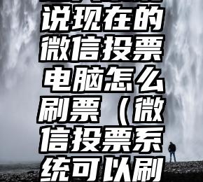 简单的来说下微信投票人工怎么刷票（微信纯人工投票）
