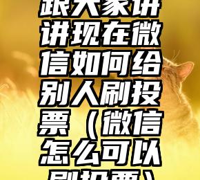 简单的来说下微信投票人工怎么刷票（微信纯人工投票）