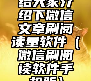 简单的来说下微信投票人工怎么刷票（微信纯人工投票）