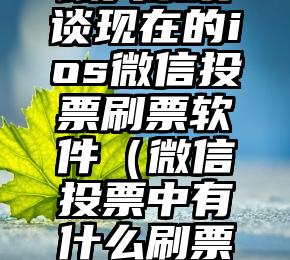 简单的来说下微信投票人工怎么刷票（微信纯人工投票）
