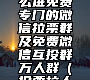 简单的来说下微信投票人工怎么刷票（微信纯人工投票）