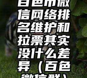 简单的来说下微信投票人工怎么刷票（微信纯人工投票）