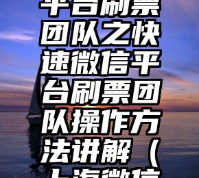 简单的来说下微信投票人工怎么刷票（微信纯人工投票）