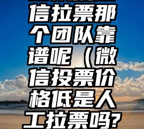简单的来说下微信投票人工怎么刷票（微信纯人工投票）