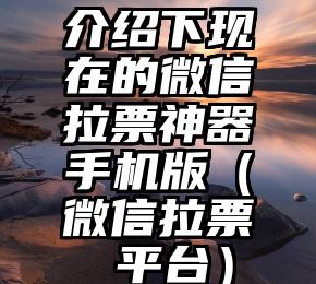 简单的来说下微信投票人工怎么刷票（微信纯人工投票）