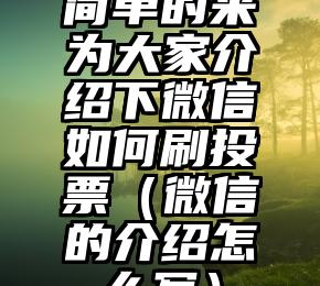 简单的来说下微信投票人工怎么刷票（微信纯人工投票）