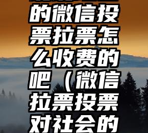 简单的来说下微信投票人工怎么刷票（微信纯人工投票）