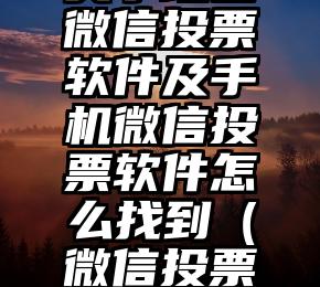 简单的来说下微信投票人工怎么刷票（微信纯人工投票）