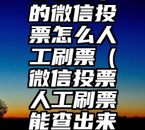 简单的来说下微信投票人工怎么刷票（微信纯人工投票）