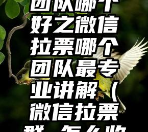 简单的来说下微信投票人工怎么刷票（微信纯人工投票）