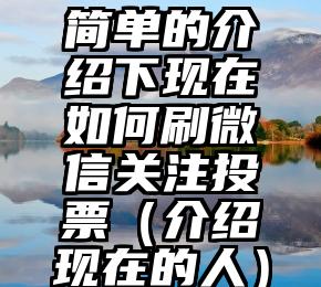 简单的来说下微信投票人工怎么刷票（微信纯人工投票）
