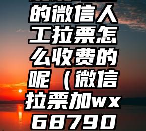简单的来说下微信投票人工怎么刷票（微信纯人工投票）