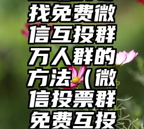 简单的来说下微信投票人工怎么刷票（微信纯人工投票）