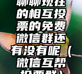简单的来说下微信投票人工怎么刷票（微信纯人工投票）