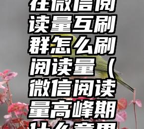 简单的来说下微信投票人工怎么刷票（微信纯人工投票）