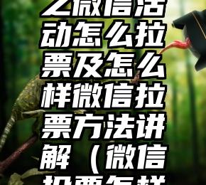 简单的来说下微信投票人工怎么刷票（微信纯人工投票）