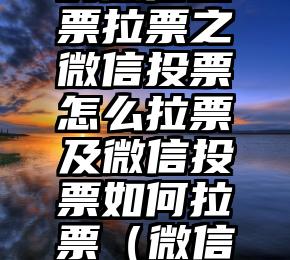 简单的来说下微信投票人工怎么刷票（微信纯人工投票）