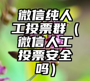 简单的来说下微信投票人工怎么刷票（微信纯人工投票）