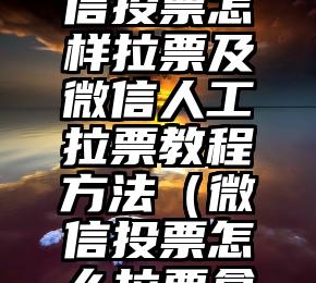 简单的来说下微信投票人工怎么刷票（微信纯人工投票）