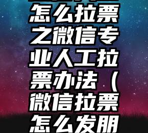 简单的来说下微信投票人工怎么刷票（微信纯人工投票）