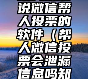 简单的来说下微信投票人工怎么刷票（微信纯人工投票）
