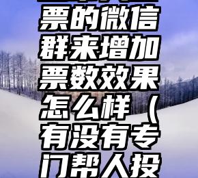 简单的来说下微信投票人工怎么刷票（微信纯人工投票）