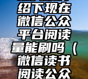 简单的来说下微信投票人工怎么刷票（微信纯人工投票）