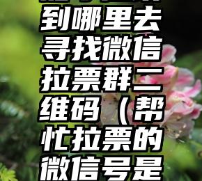 简单的来说下微信投票人工怎么刷票（微信纯人工投票）
