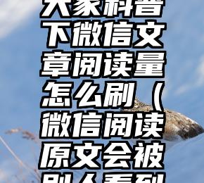 简单的来说下微信投票人工怎么刷票（微信纯人工投票）