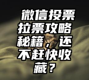 简单的来说下微信投票人工怎么刷票（微信纯人工投票）