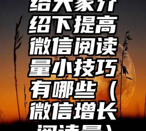简单的来说下微信投票人工怎么刷票（微信纯人工投票）
